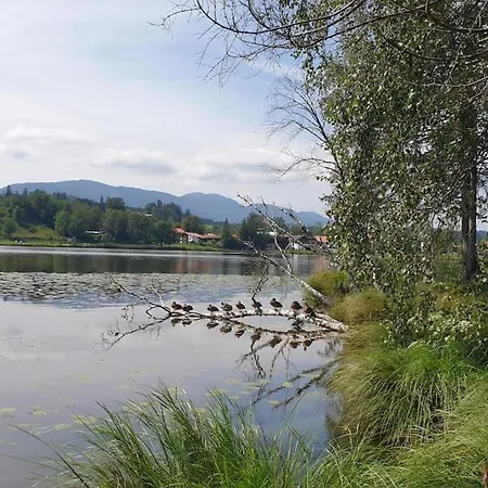 Frisch Renoviertes Bergseenest Bayersoien