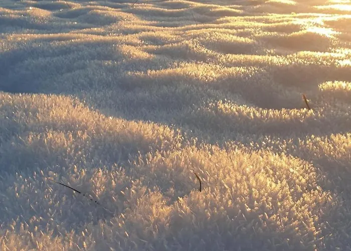 Frisch Renoviertes Bergseenest * Bayersoien